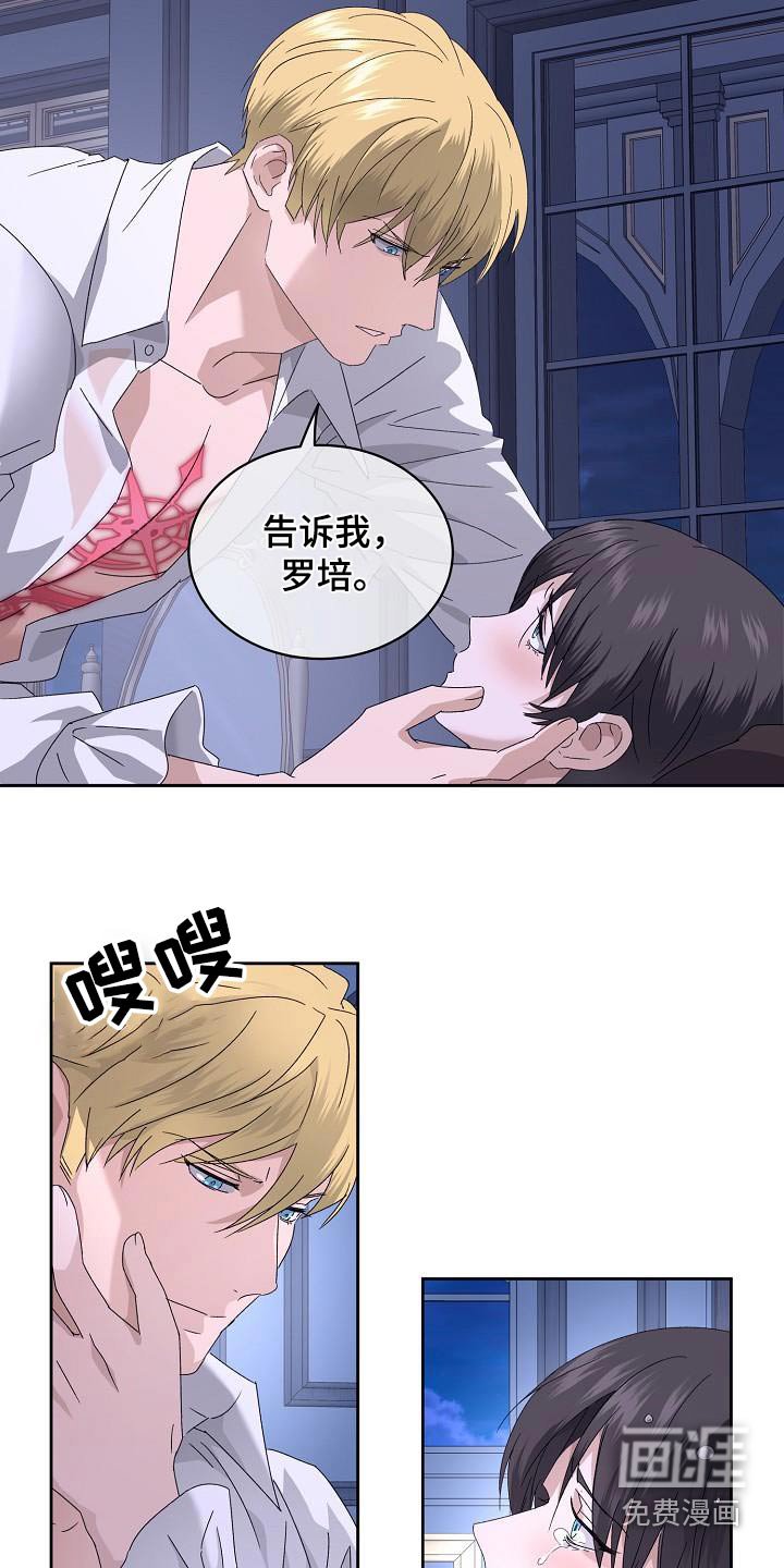 第17章：必须找到原因