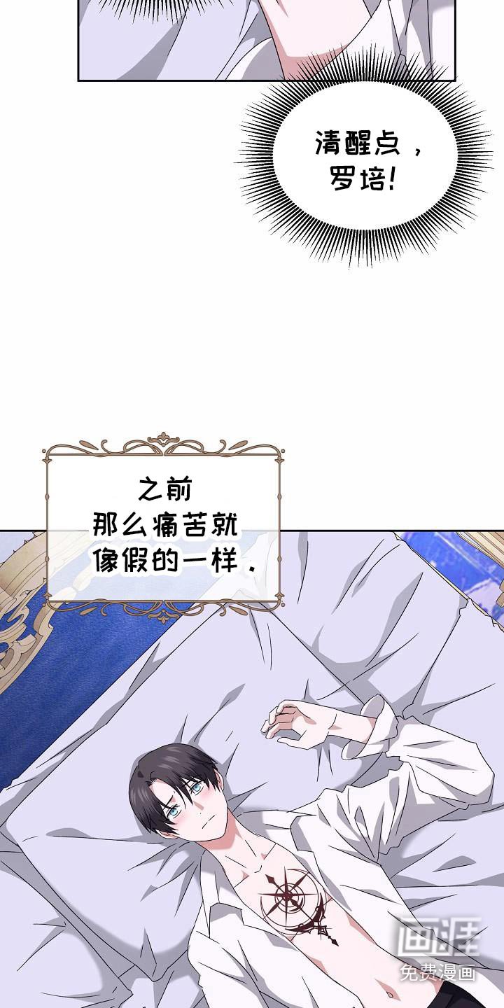 第19章：到底为什么