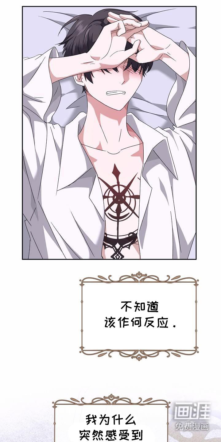 第19章：到底为什么
