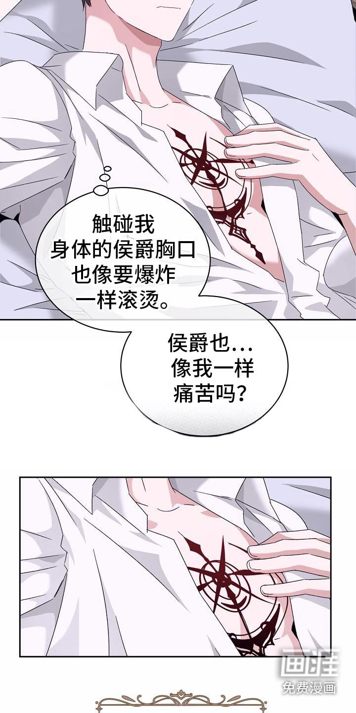 第19章：到底为什么
