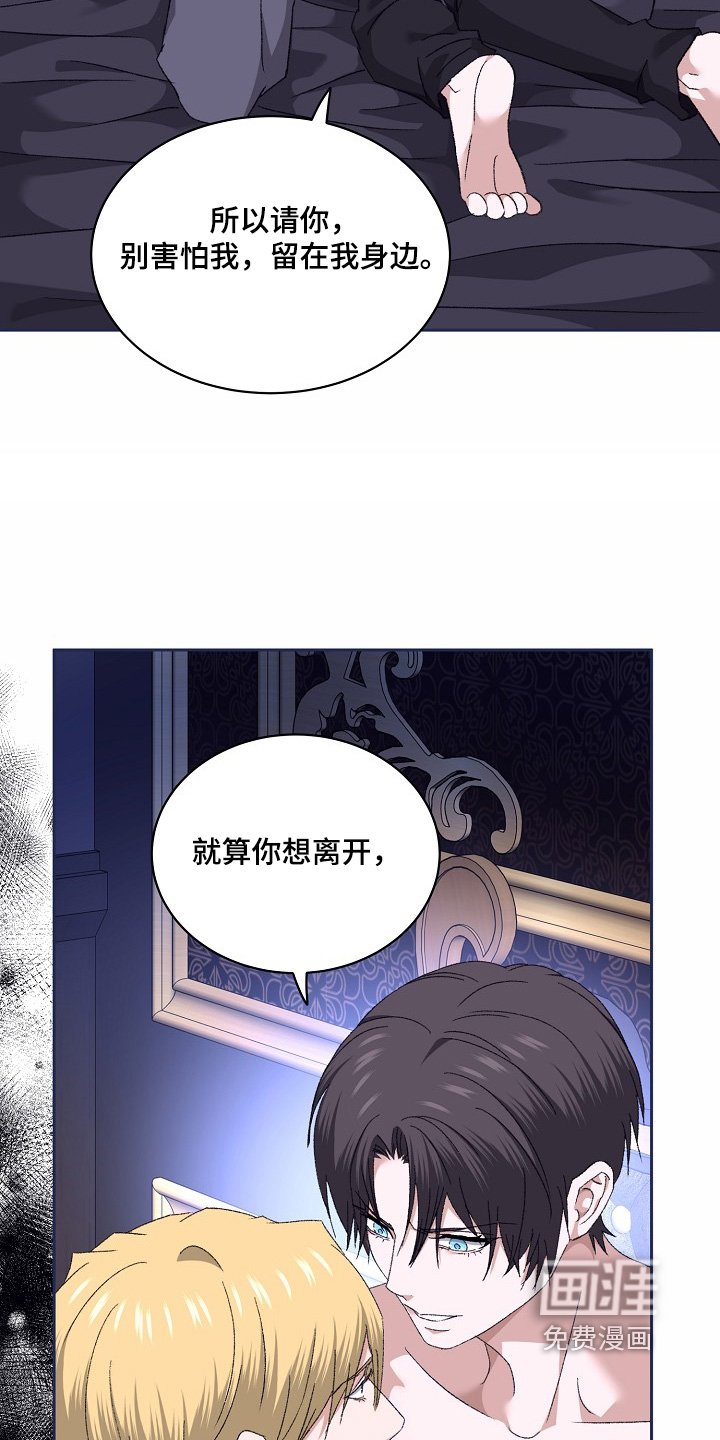 第52章：一见钟情