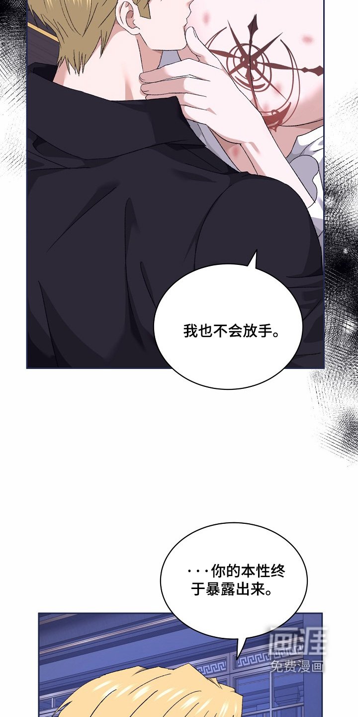 第52章：一见钟情