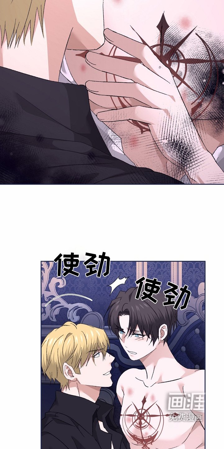 第52章：一见钟情