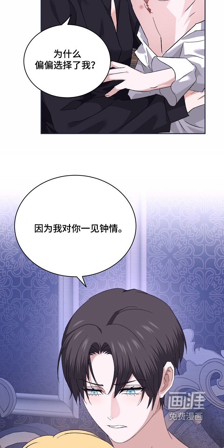 第52章：一见钟情