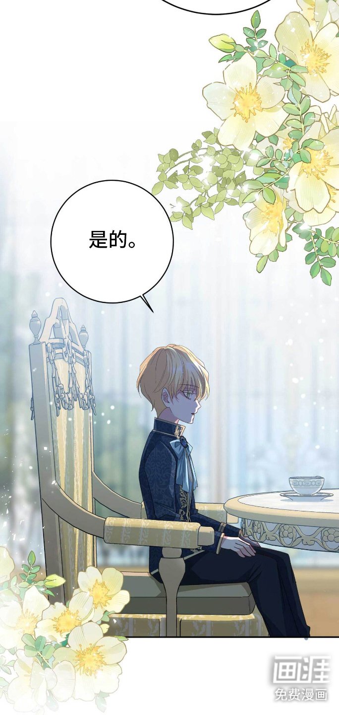 第15章：效果