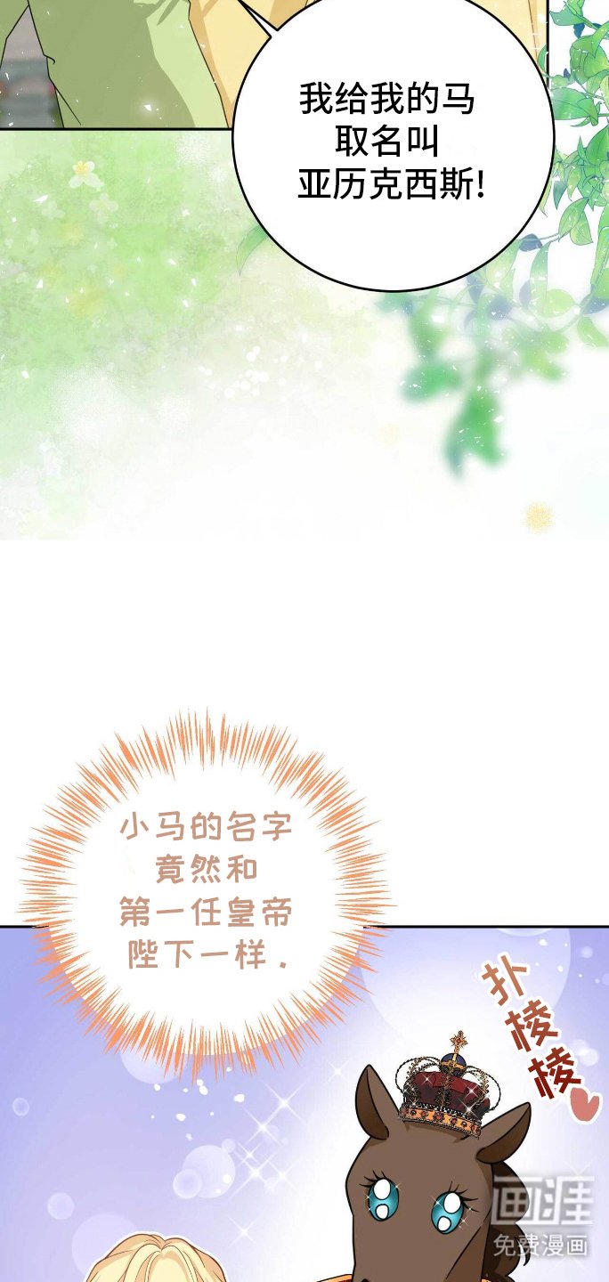 第16章：恶意