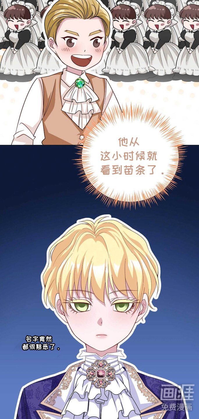 第16章：恶意