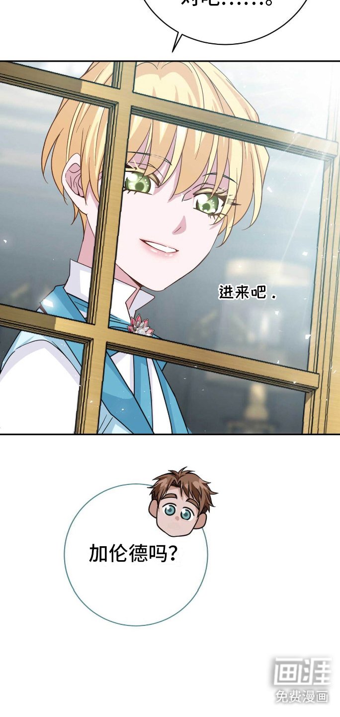 第23章：明知故问