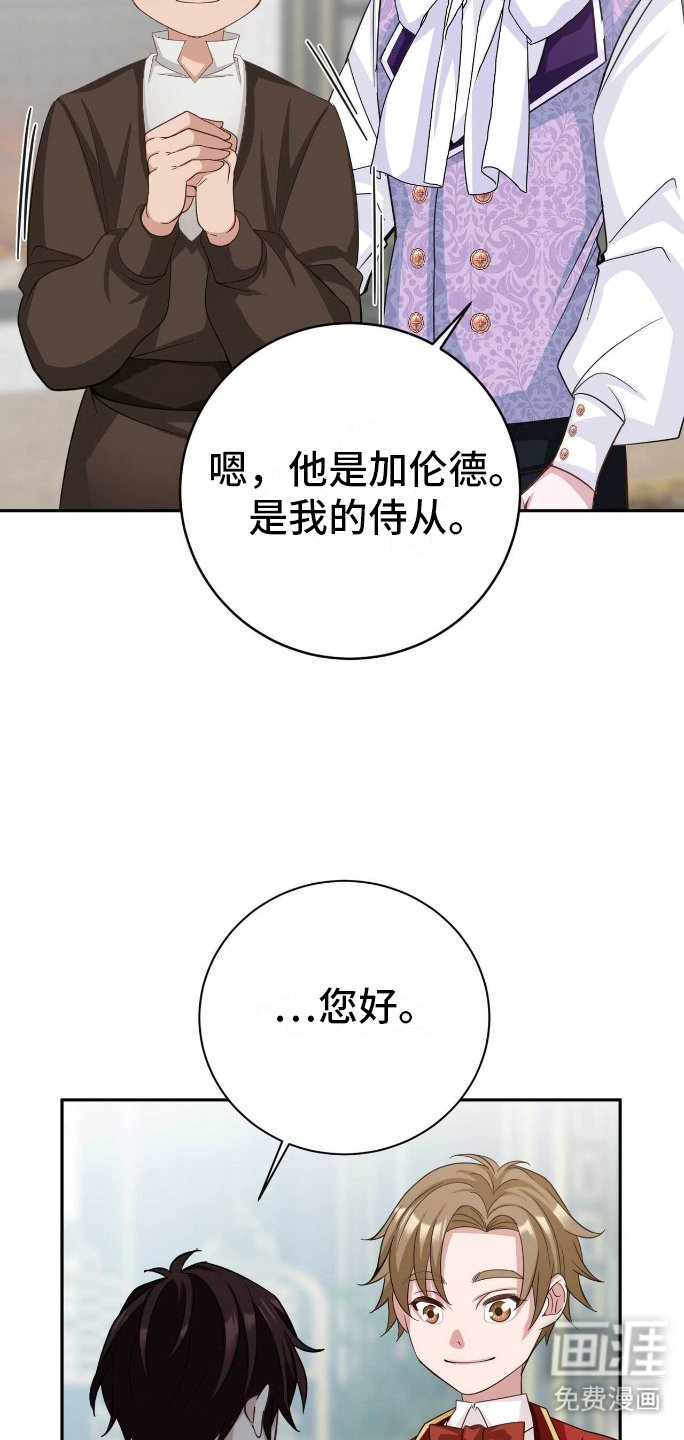 第23章：明知故问