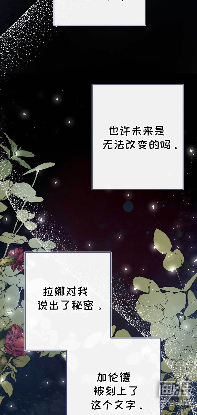 第28章：搞砸
