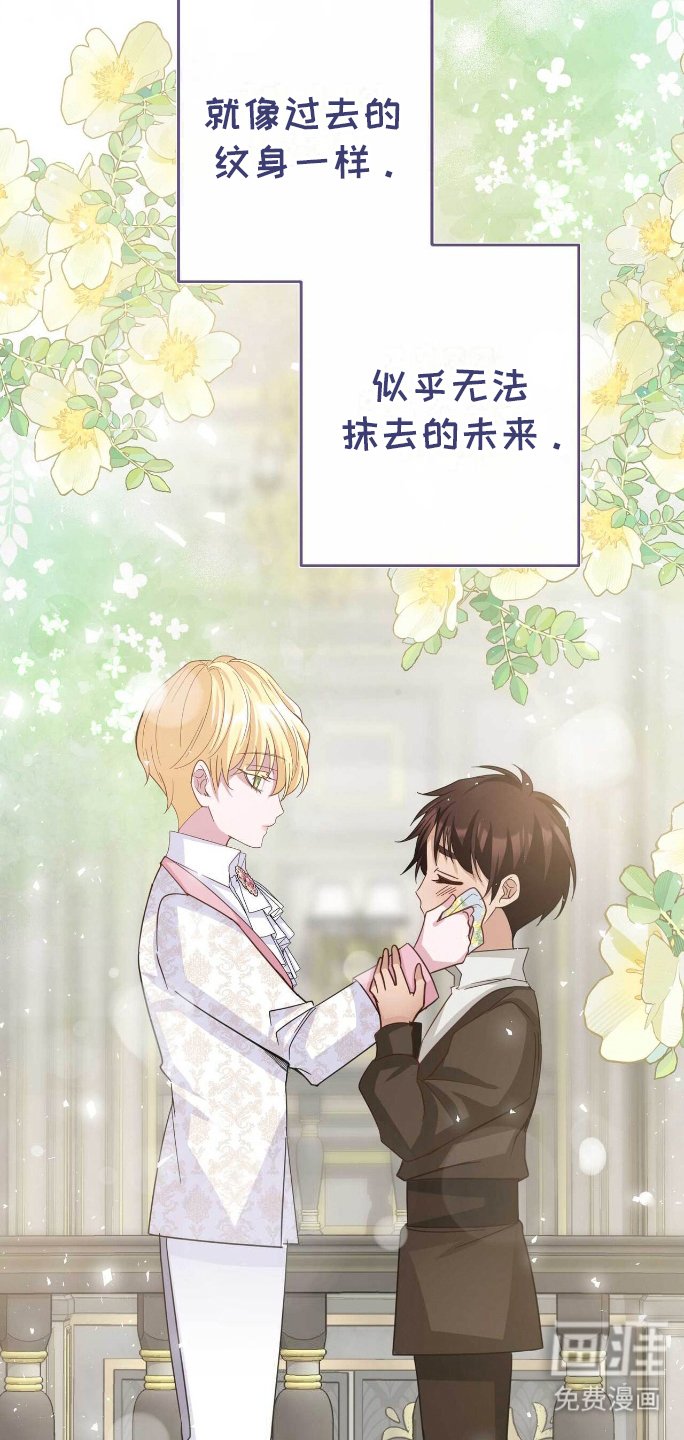 第29章：无法抹去