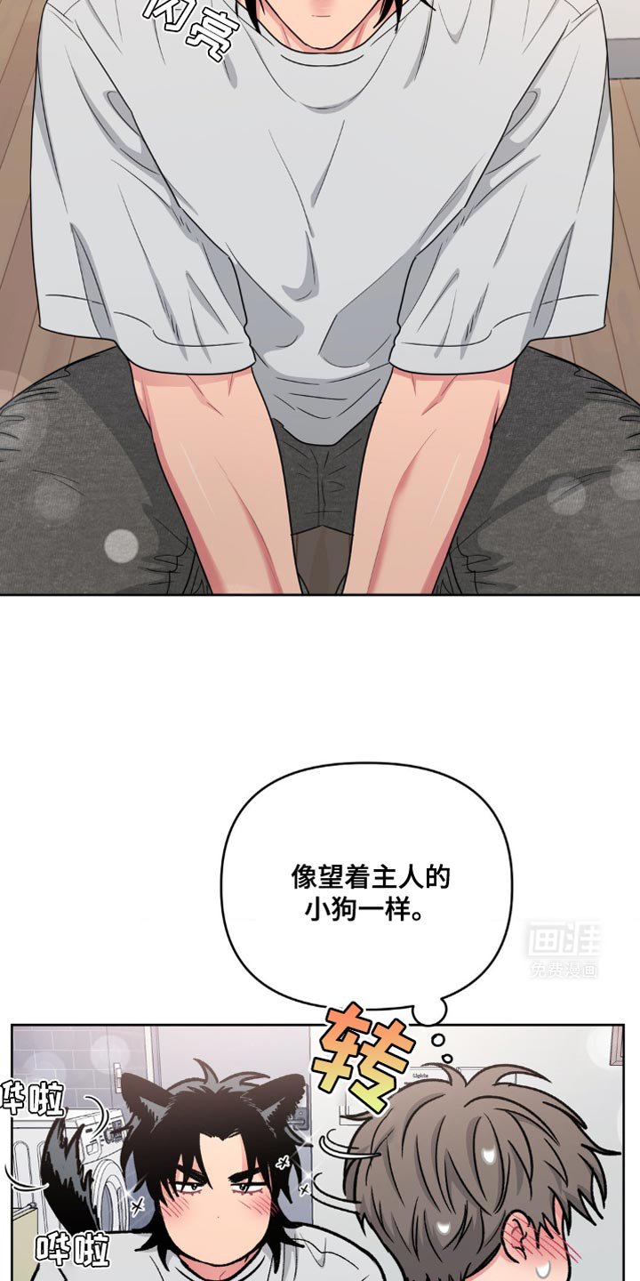 第22章：大型忠犬