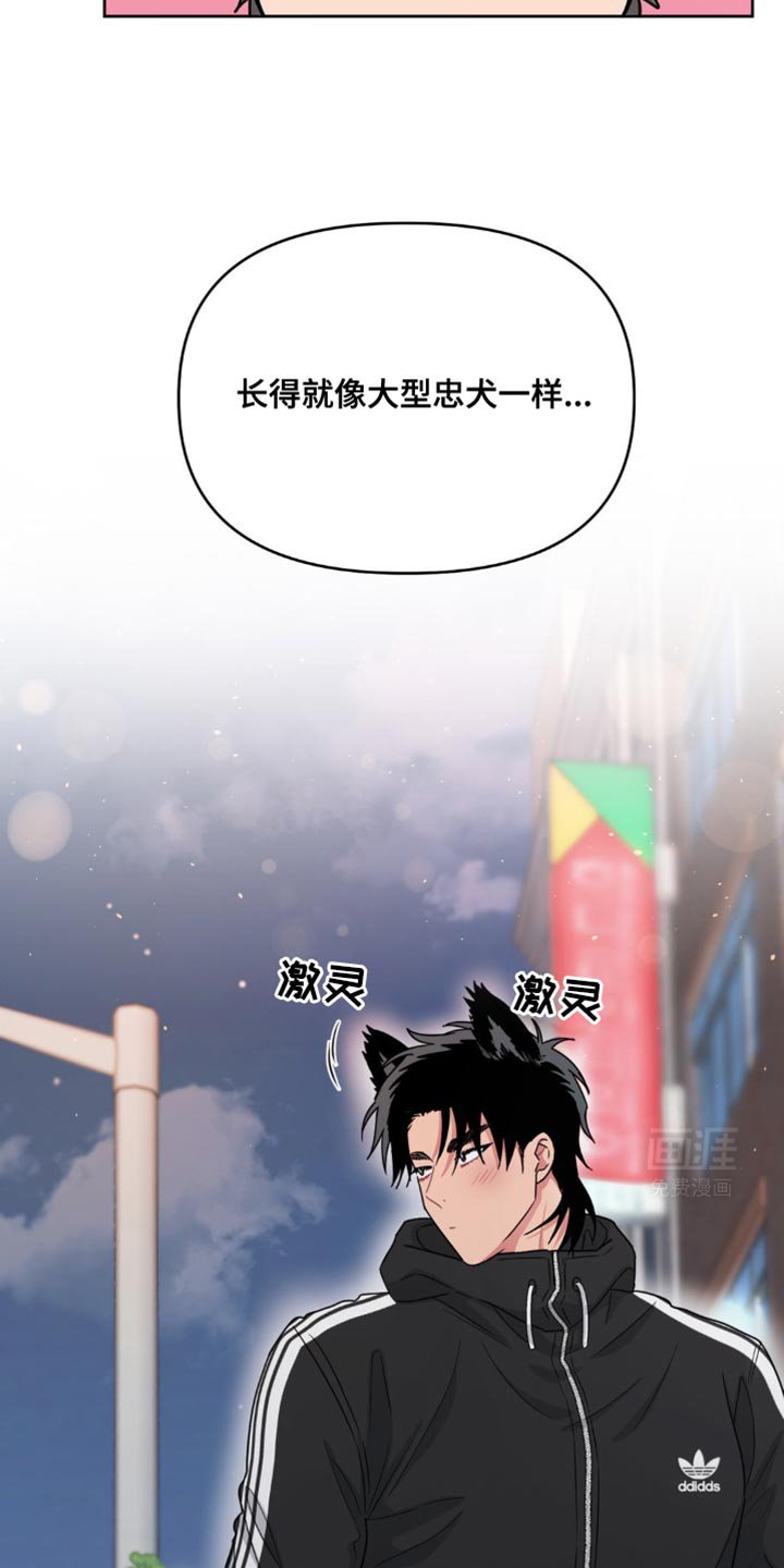第22章：大型忠犬