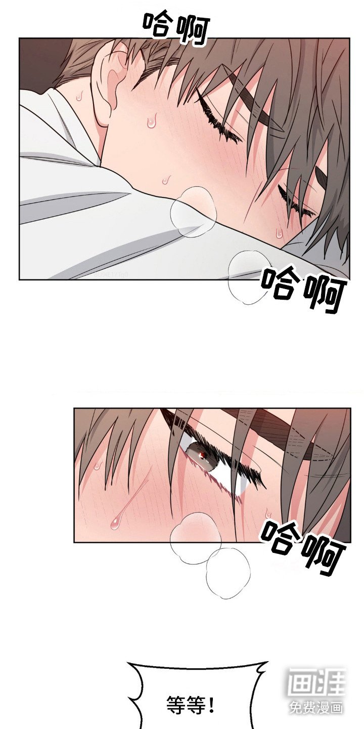 第32章：在这睡