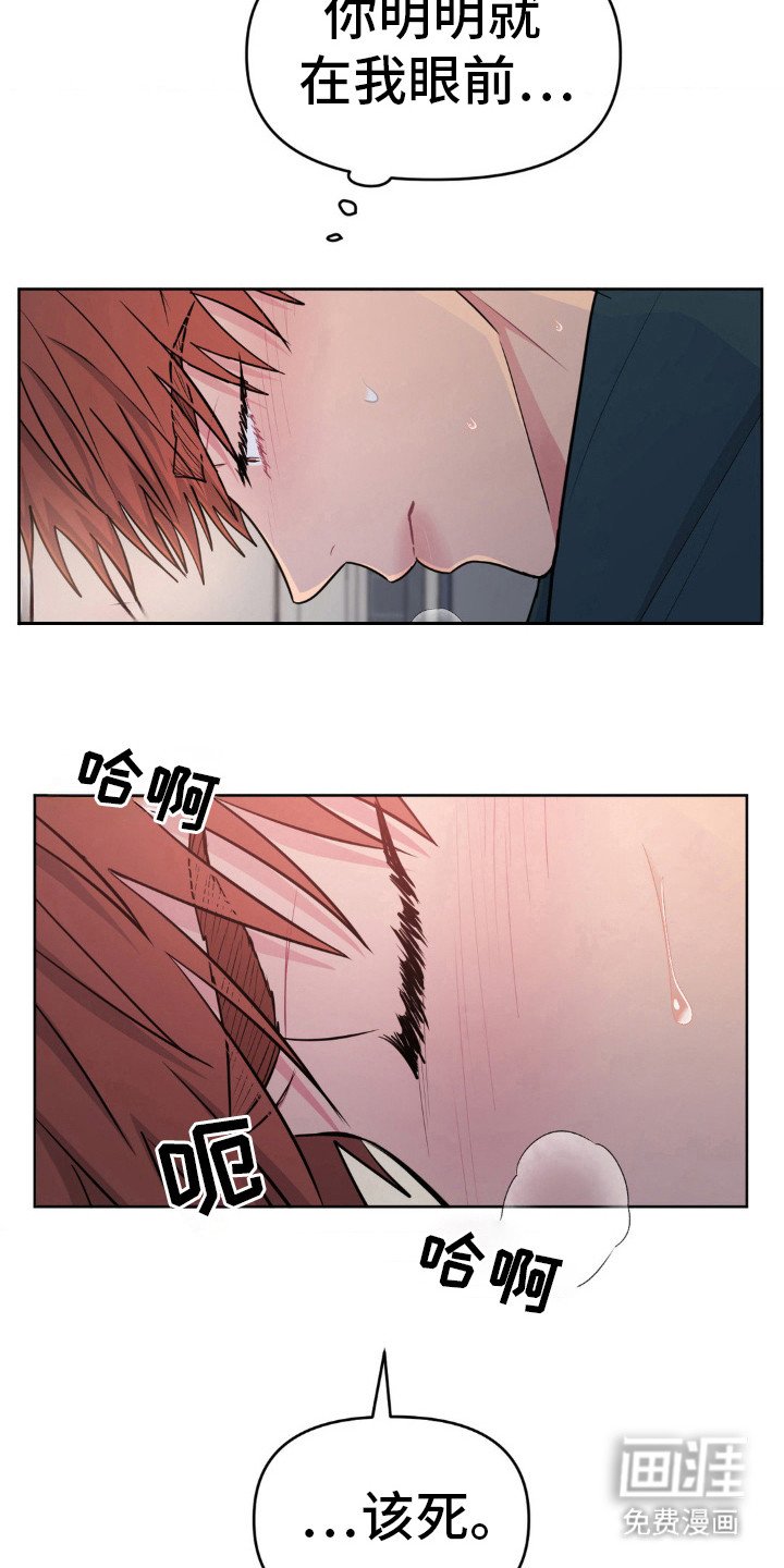 第36章：一直爱你