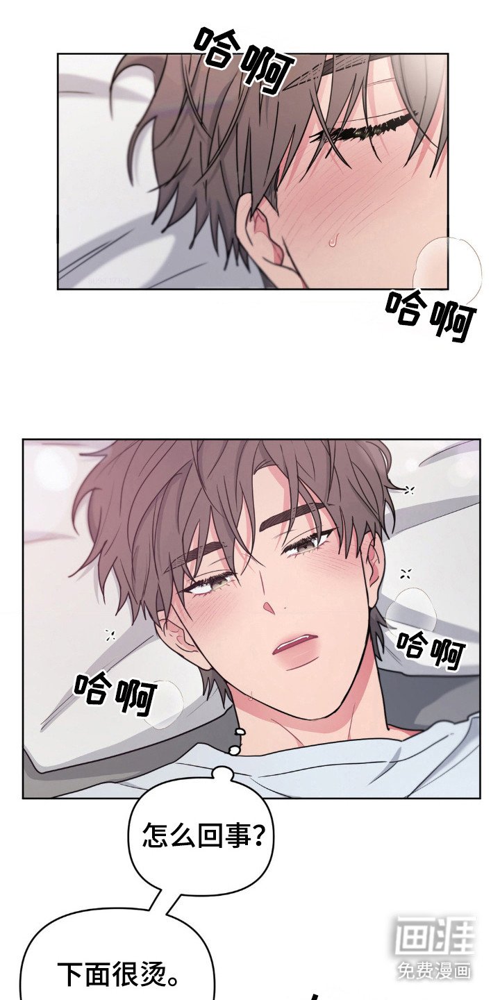 第37章：是梦！