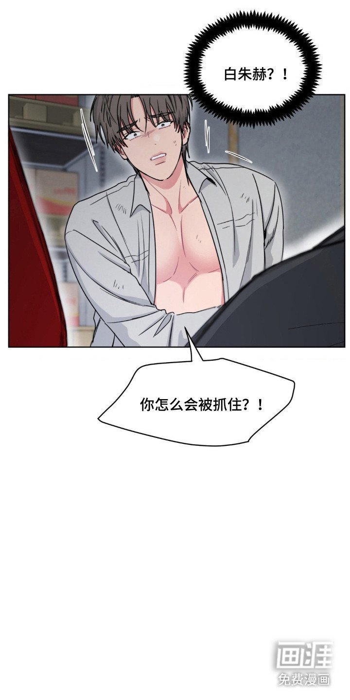 第63章：陷阱