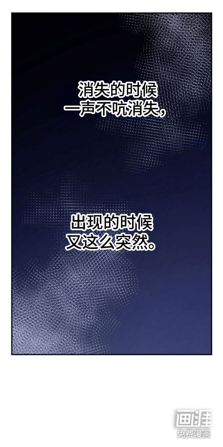 第99章：【第二季】我离婚了