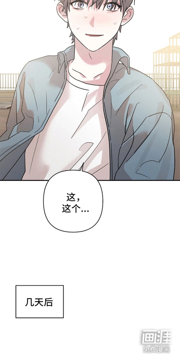 第5章：任务