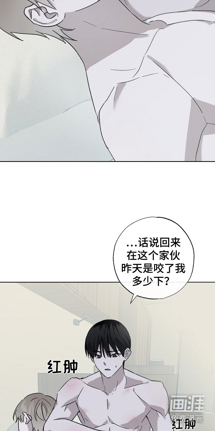 第12章：喜欢你（完结）