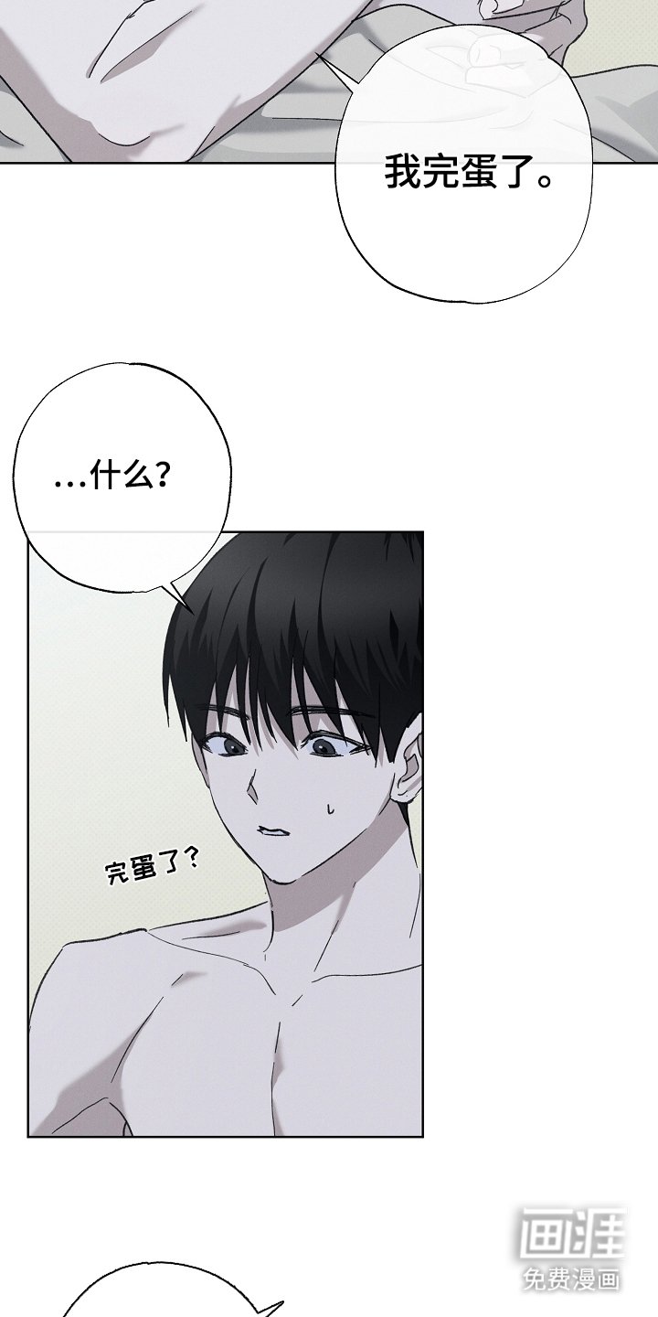 第12章：喜欢你（完结）