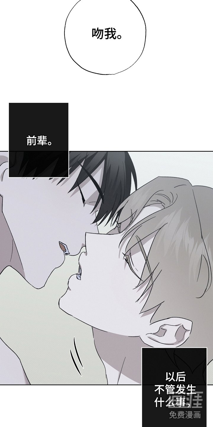 第12章：喜欢你（完结）