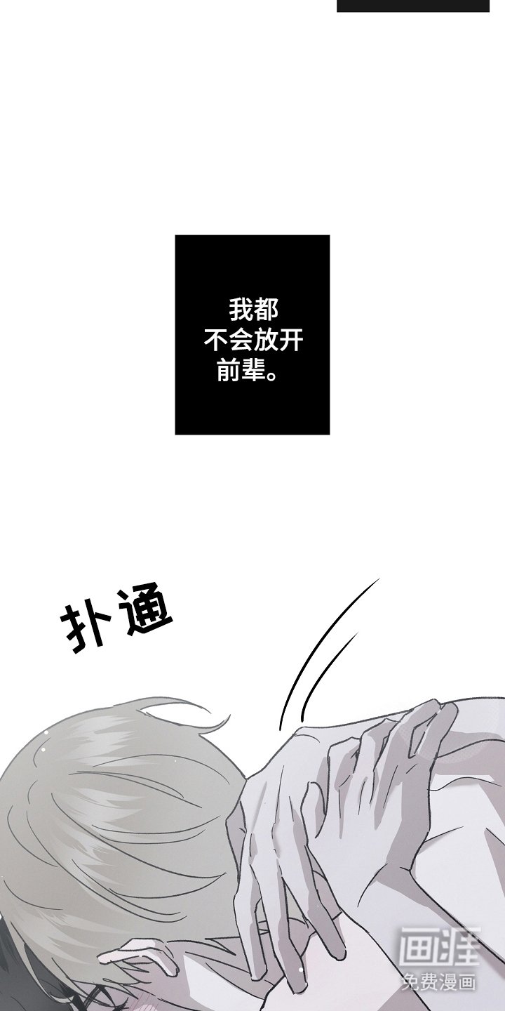 第12章：喜欢你（完结）