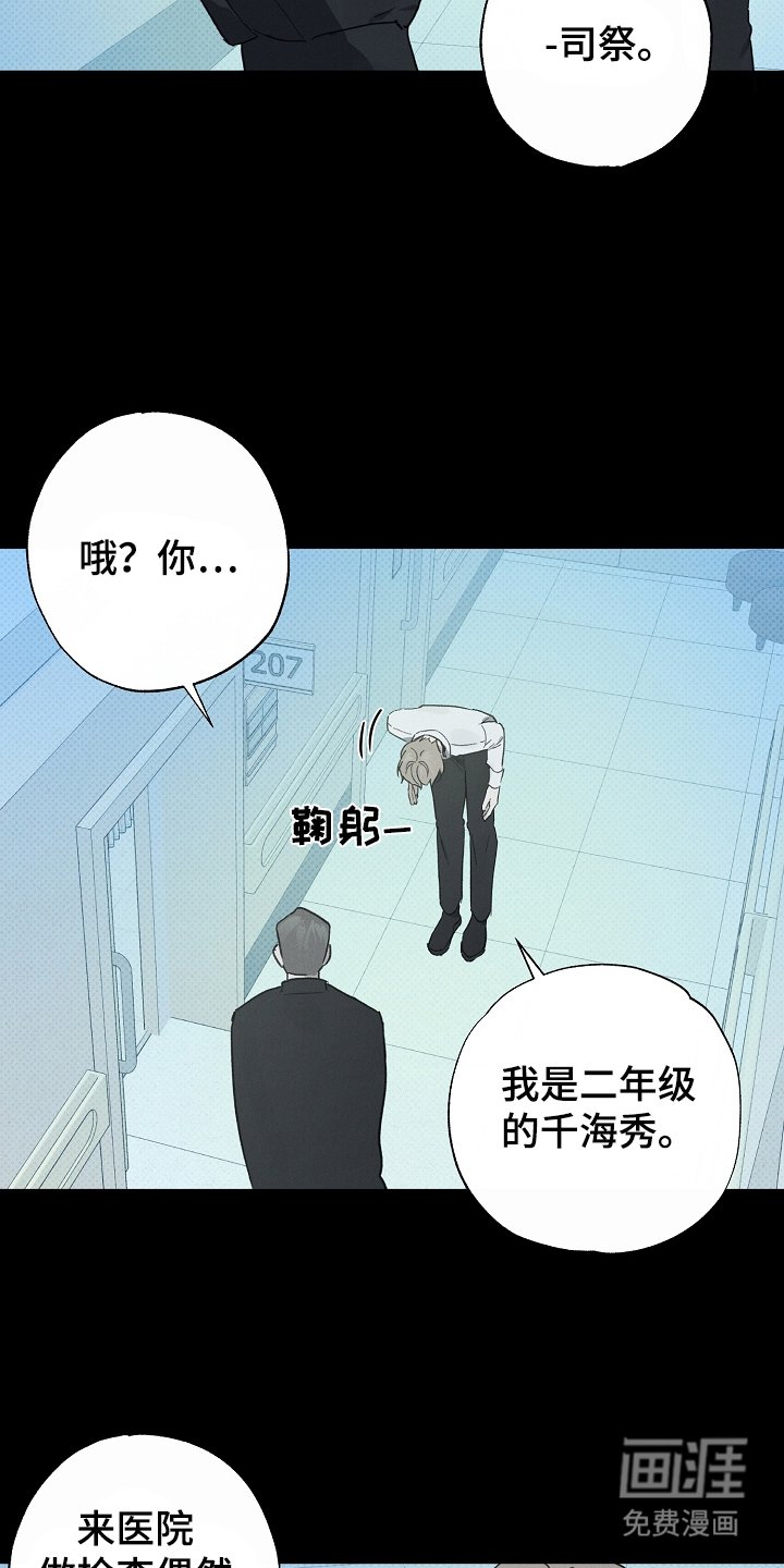 第5章：代替