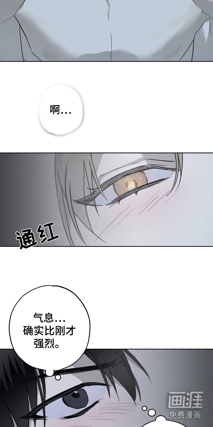 第8章：借口