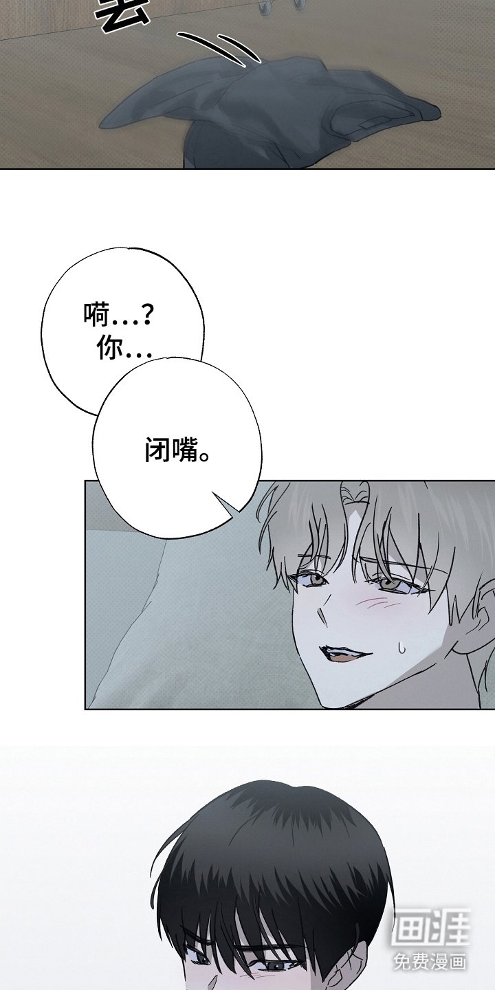 第8章：借口
