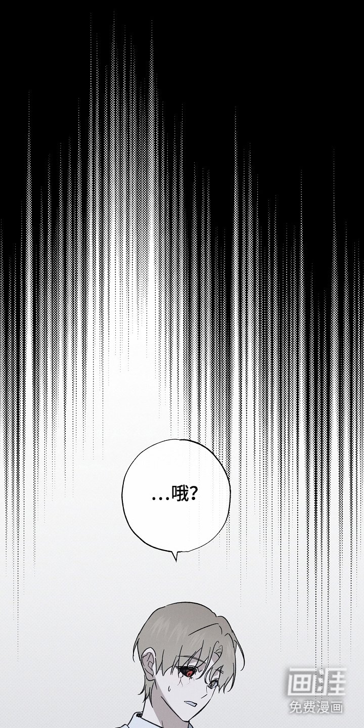 第8章：借口