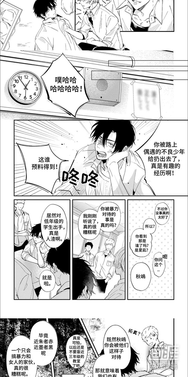 第3章：亲眼看看