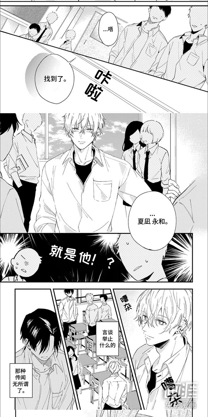 第3章：亲眼看看