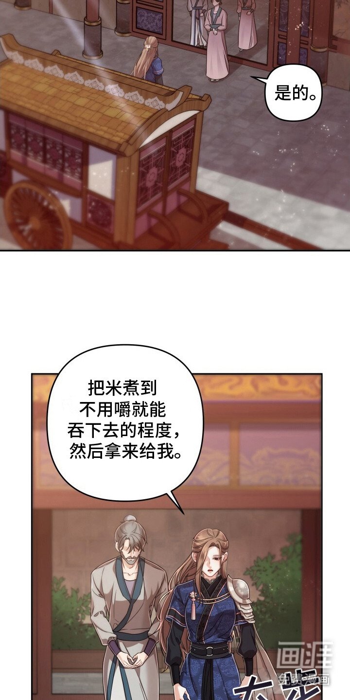 第13章：喂饭