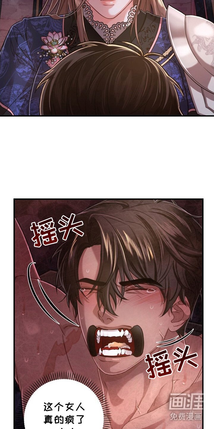 第13章：喂饭