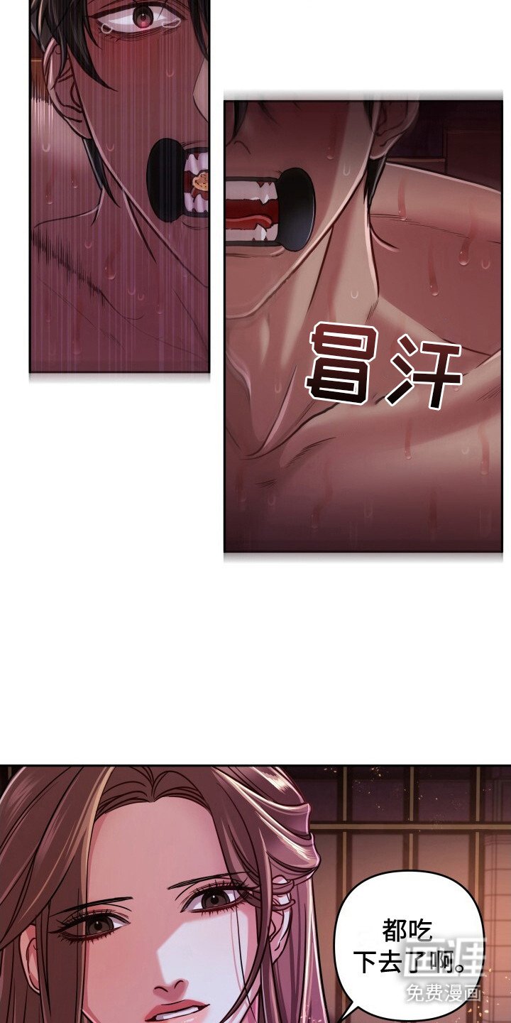 第13章：喂饭