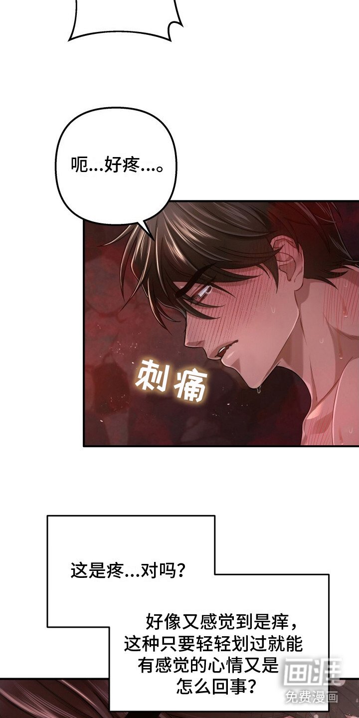 第15章：怨恨