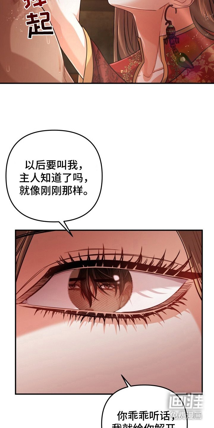 第24章：乖乖听话