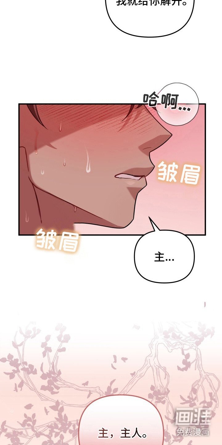 第24章：乖乖听话