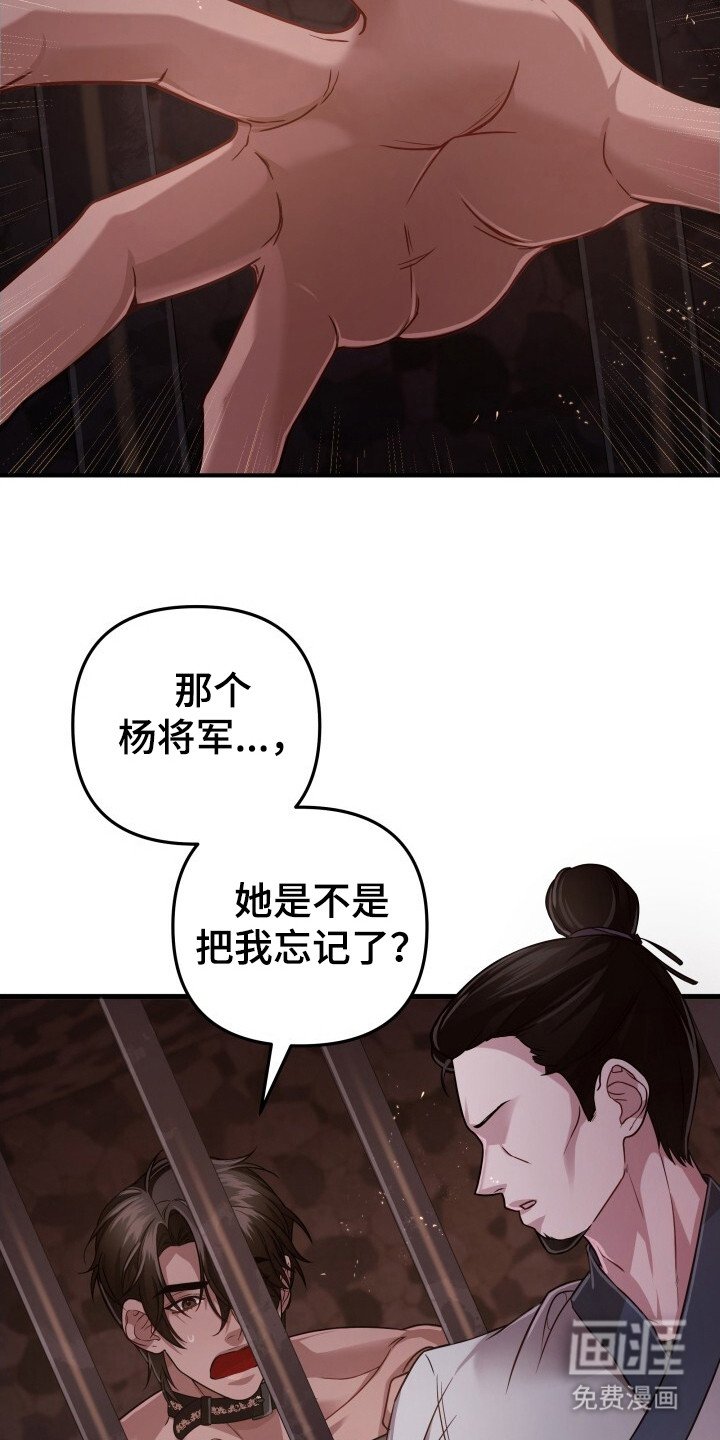 第33章：再次出现
