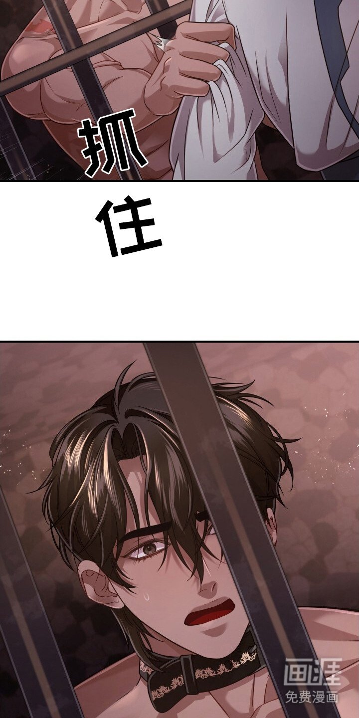 第33章：再次出现