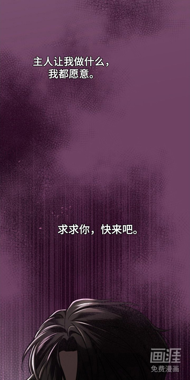 第33章：再次出现