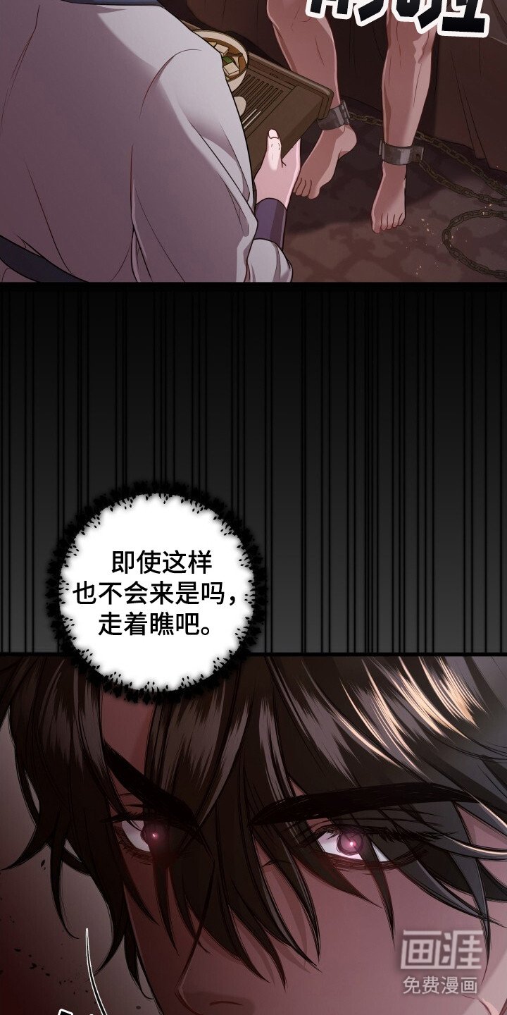 第33章：再次出现