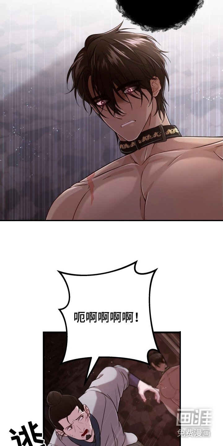 第33章：再次出现