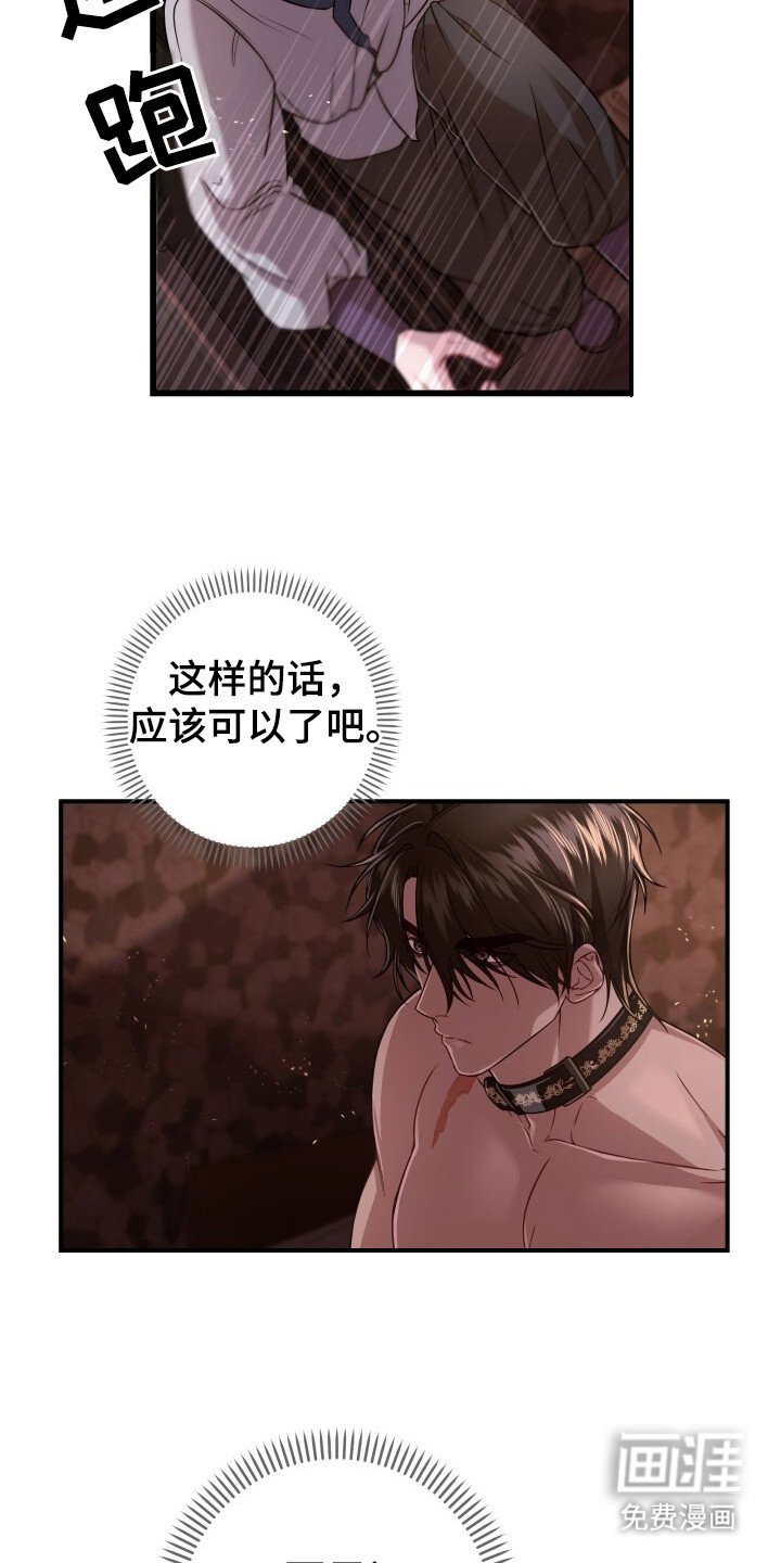 第33章：再次出现