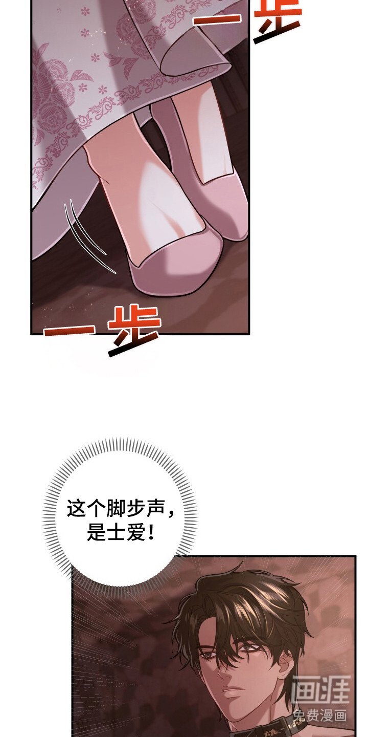 第33章：再次出现