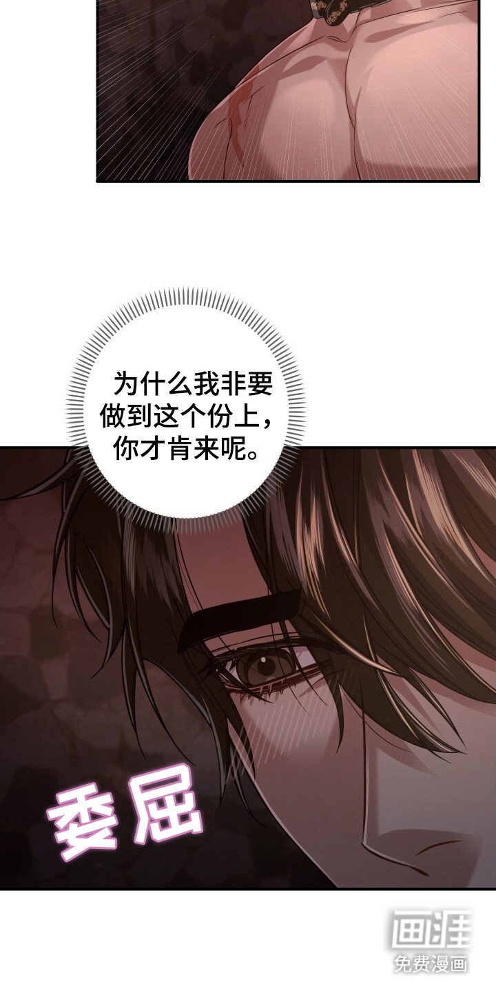 第33章：再次出现