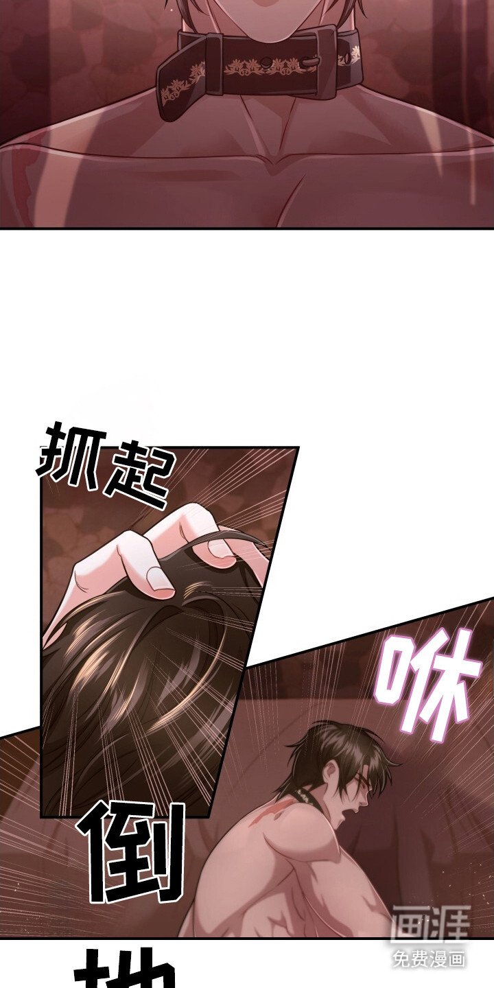 第33章：再次出现