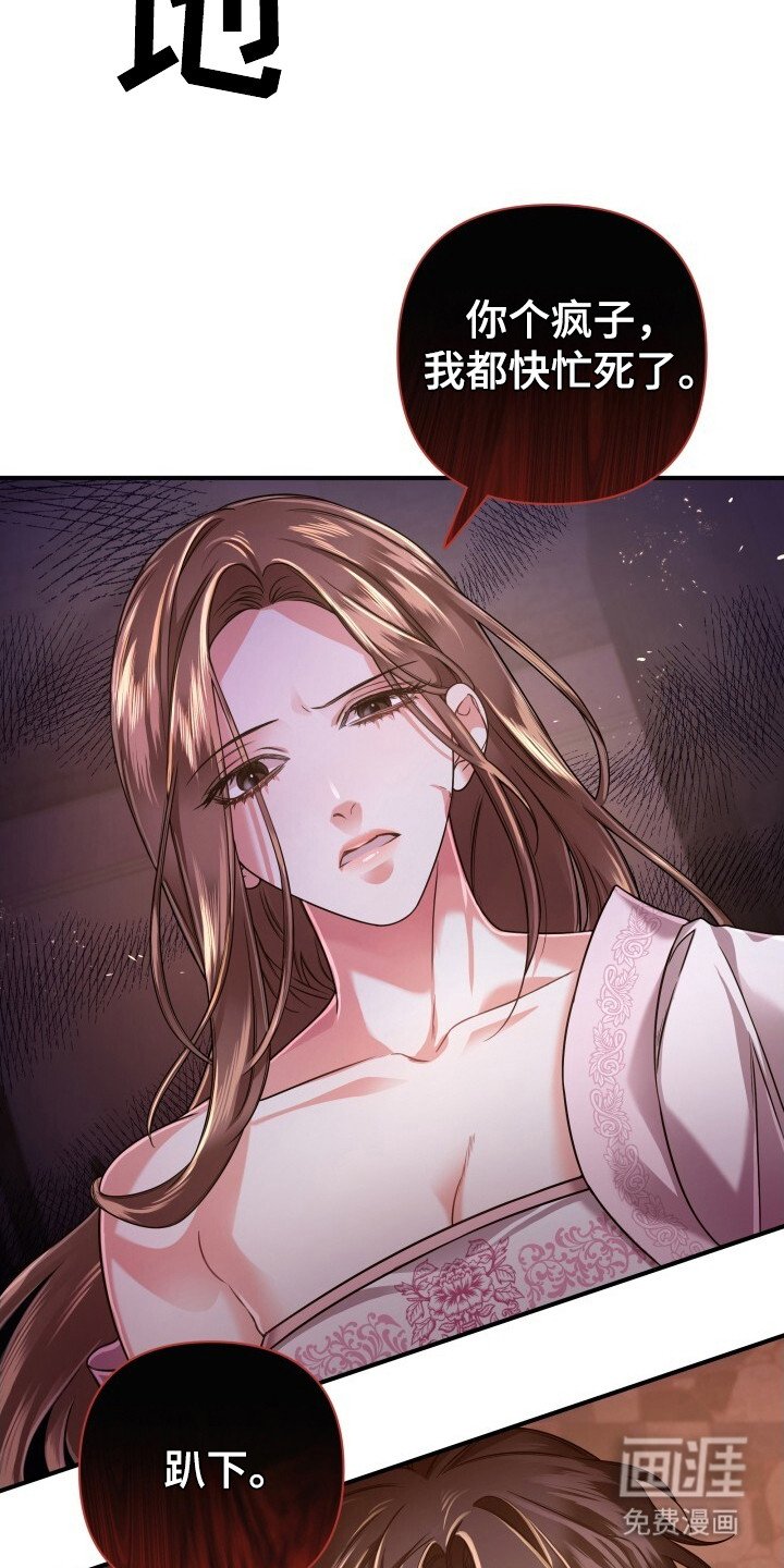 第33章：再次出现