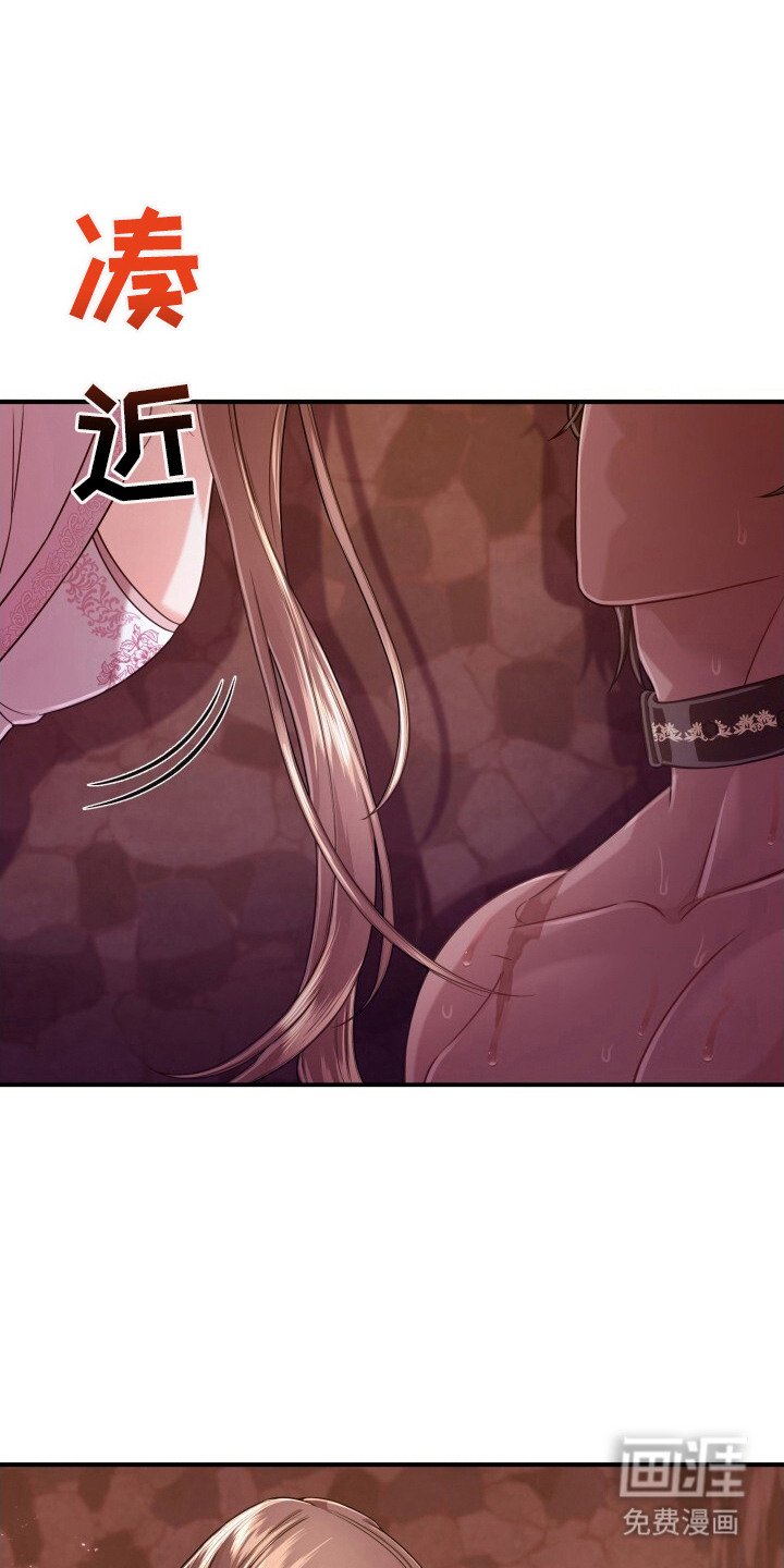 第35章：理由